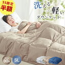 先着★9%クーポン ダウンケット 羽毛布団 夏用 掛け布団 夏 羽毛肌掛け布団 夏用掛け布団 ダウン80％ ダウンケット 夏用 ダウンケット シングル 肌布団 夏布団 洗える 羽毛布団 夏 ブランケット 夏用 ブランケット ひざ掛け 肌掛け布団 羽毛布団