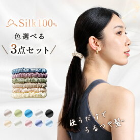 ＼1点あたり374円／ シルク ヘアゴム 跡がつかない シルク シュシュ 3点セット ヘアゴム シルク100％ シルクゴム シルク ゴム シルクヘアゴム 大人っぽい 大人 ヘアアクセサリー 髪留め まとめ髪 シュシュ 夏 シュシュ 黒 シュシュ 小さめ シンプル かわいい 高級感