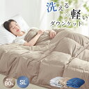 ダウンケット 夏用掛け布団 羽毛布団 夏用 掛け布団 羽毛肌掛け布団 ダウン80％ ダウンケット 夏用 ダウンケット シングル 肌布団 夏布団 洗える 羽毛布団 夏 ブランケット 夏用 ブランケット ひざ掛け 肌掛け布団 掛け布団 夏 羽毛布団 ダウンケット ハーフ