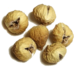 @V@u͂Ȃ܂̂߂v 55g@hCt[c