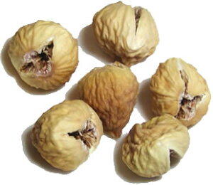 @V@u͂Ȃ܂̂߂v 300g@hCt[c