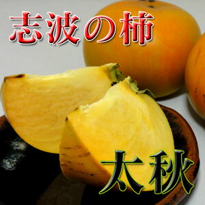 yz(qsYi)(܂ڂ낵̊`)Y ug` HL` 2LTCY 9 Mtg H̖o TNTN t[c̗ イ Yn  ʕ  JL lCi x