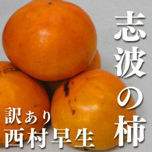 yzy󂠂zyuh`zYug`  2S`STCY 15ʁyƒpz Mtg Yn d  ςƂÖ  lCi t[c JL