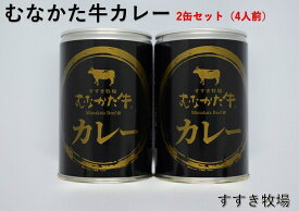 【送料無料】むなかた牛カレー　二人前×2缶セット【神内ファーム二十一】牛肉 ギフト お歳暮 お中元 父の日 母の日 内祝い お礼 お見舞い お祝い 贈り物 グルメ プレゼント お取り寄せ