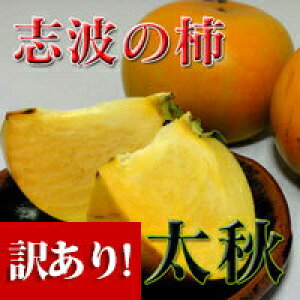 yz(qsYi)(܂ڂ낵̊`)󂠂IYug` H LTCY@12@Yn H̖o TNTN t[c̗ イ  JL lCi x ƒp ʕ