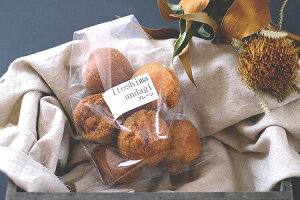 A_M[v[i6×3܁j T[^[A_M[ HH[܂Ђ