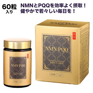 yzNMN PQQ 12NMNPQQ悭ێ