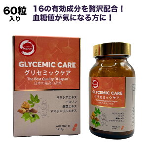 yzlCɂȂ12IGLYCEMIC CAREiOZ~bNPAj