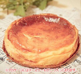 【ユコーネ】【一宮食ブランド認定】うきうきチーズケーキ
