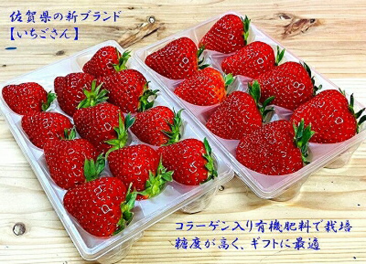 楽天市場 送料無料 佐賀県白石町の新ブランド苺 いちごさん 2パック イチゴ 苺 かわさきいちご ギフト 贈答用 みずみずしい 有機肥料栽培 糖度 高い 人気商品 日本通販ショップ楽天市場店