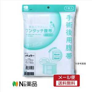 y[֑znN]EfBJ @^b` M[ 31×140cm 1܁@1730130@с@Jp̕یAۉAŒ聄