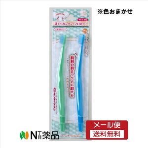 y[֑znN]EfBJ@u肻uV 炩 2{ 1@3118055@oPA@uV@p@JȕAɂ݂ɕqȕ