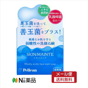 y[֑zyJΌ XLeΌ(80g)@ʋۂ􂤁@_@h