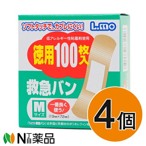 iÊ G ~}o p100 MTCYi19mm×72mmj×4y^zyz