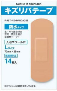 iH LYoe[v h^CvJnp LTCY 14y򕔊Oiz