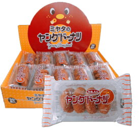宮田製菓 ヤングドーナツ 4個入×20個