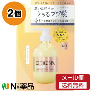 y[֑zRXebNX[h CITRUSPA(VgXp) GA[CXg g[gg lVgX̍ ߂p (400ml) 2Zbg @y₩@܂Ƃ܂聄