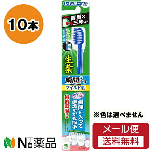 y[֑zѐ t ԂɓuV }Ch M[ 10{Zbg uV@^R΍􁄁uV̐F͑Iׂ܂