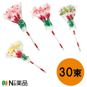 yz⍲ t[Lf[ ԑ ڈ eFl (4{/1×30)ʉَq ii ǂ VYɁ