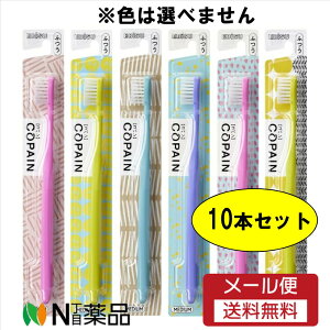 y[֑zGrX Rp nuV10{Zbg ӂ F͑Iׂ܂