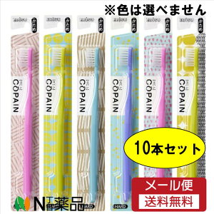 y[֑zGrX@RpnuV  10{F͑Iׂ܂