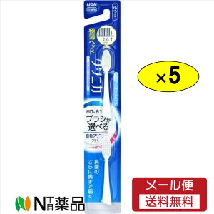 y[֑zCI dAVXguV tփNjJAhoe[W RpNg ӂ(2{×5Zbg)yNjJz