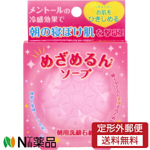 y`OXցzyJΌ pΌ ߂߂\[v (80g) @@Ђ߁@g[