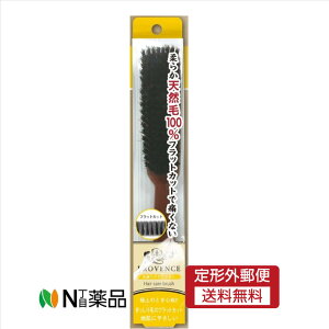 y`OXցznɂ₳bуuV wAuV ؖ VR wAPAuV {