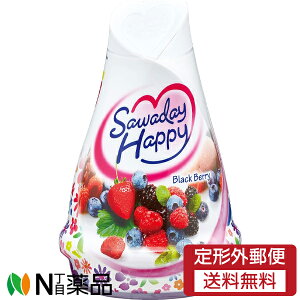 y`OXցzѐ Sawaday Happy(Tf[nbs[) ubNx[ (120g) F܁@