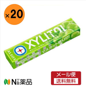 y[֑zbe LVg[K }XJbg 14×20