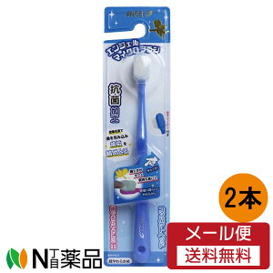 y[֑z[Jpj[ GWF}CNuV RpNgwbh u[ 炩 1{×2{Zbg