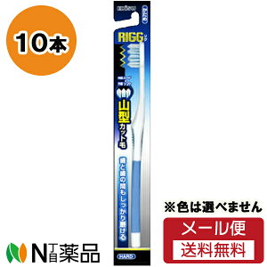 y[֑zGrX RIGG(O) R^nuV  (10{Zbg) nuVF͑Iׂ܂