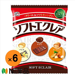 yzs \tgGNA 93g ×6܁\tgL