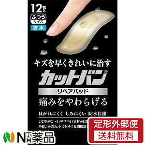 y`OXցzSiH Jbgo yApbh ӂTCY (12) 1 ~}JnpyǗË@z