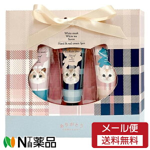 y[֑z˂nhN[ 3PZbg(zCgXN 10gEV{ 10gEzCgeB[ 10g)yz