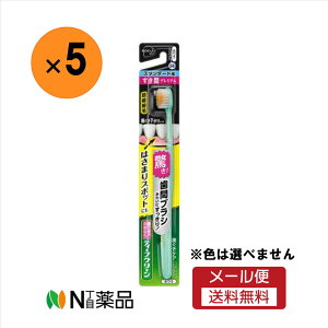 y[֑zԉ@fB[vN[ nuV ԃv~A X^_[h ӂ 1{@5{Zbg