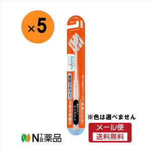 y[֑zԉ@sI[36500nuV@1{1{@炩߁@5{Zbg