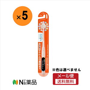 y[֑zԉ@sI[36500 nuV ӂZ 炩(1{)@5{Zbg