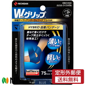y`OXցzj`o battlewin(ogEB) WObv HYBRID of[W (傫)EӂƂEӂ͂p  (75mm×12m) [WGP75FBL] 1 e[sO