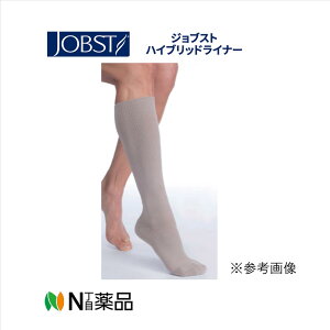 {YƁ@WuXg@nCubhCi[@Ch^Cv@MTCYyܐ悠zyJP-FLHK3Wz×peXgbLO@悩瑫݈̂@ނݑ΍@yË@z