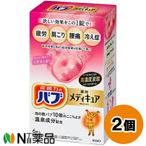 ԉ ou p fBLA ԉʎ̍ (6) 2Zbg ܁y򕔊Oizy^z