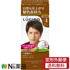�y��`�O�X�ցz�}���_�� LUCIDO(���V�[�h) �����v�b�V���P�A�J���[ 4 ���C�g�u���E�� (50g+50g) 1�� ���������߁@�w�A�J���[���y��򕔊O�i�z