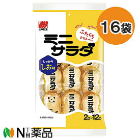 【送料無料】三幸製菓 ミニサラダ しお味 (24枚入) 16袋セット