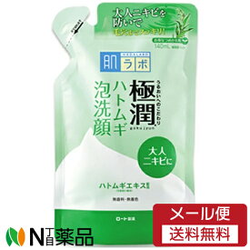 【メール便送料無料】ロート製薬 肌ラボ 極潤 ハトムギ泡洗顔 つめかえ用 (140ml) ＜洗顔料＞