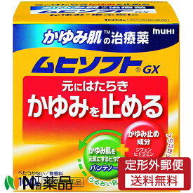 【第3類医薬品】【定形外郵便】池田模範堂 かゆみ肌の治療薬 ムヒソフトGX (100g) ＜かゆみどめ　セルフメディケーション税制対象＞