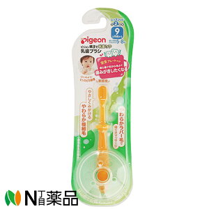 sW uV bXiK2 IW 1{9J`(̖{̖ڈF5{`8{)xr[͂Ԃ炵