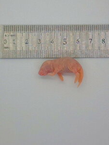 isNMjⓀ}EX 10C sN}EX Y io[NPbg wr Ⓚa