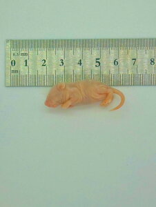 isNLjⓀ}EX 10C sN}EX Y io[NPbg wr Ⓚa