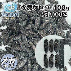 ⓀNR KTCY 100g 100C YҒ̔ ⓀRIM Ⓚ RIM ap p GTp  GT aRIM Ⓚa Ip a ͂ tgASqQgJQ qEgJQh