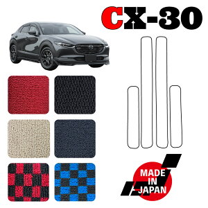 CX30 DMn Xebv}bg